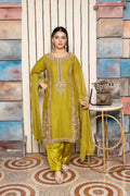Chiffon Suit with Handmade Embroidery & Zari – Front View | BG Creation | CA-793S