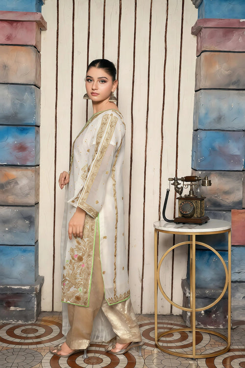 Chiffon Suit with Front & Back Embroidery – Front Pose | BG Creation | VD-812C
